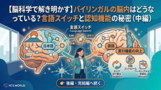 【脳科学で解き明かす】バイリンガルの脳内はどうなっている?言語スイッチと認知機能の秘密(中編)